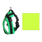 10SFH6LIME